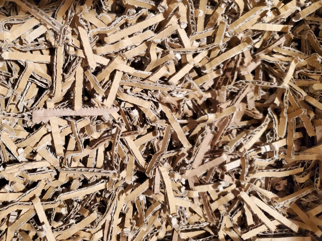 Why Composting Worms Love Cardboard—and How to Use It as Bedding
