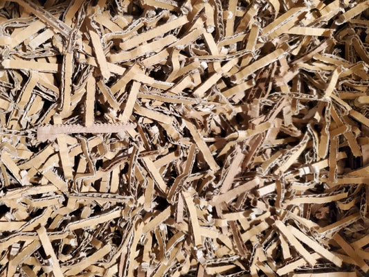 Why Composting Worms Love Cardboard—and How to Use It as Bedding