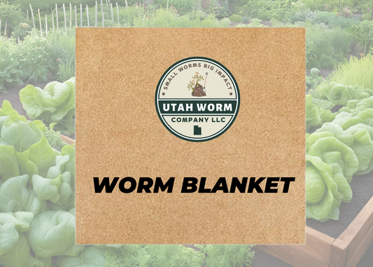 Worm Blanket