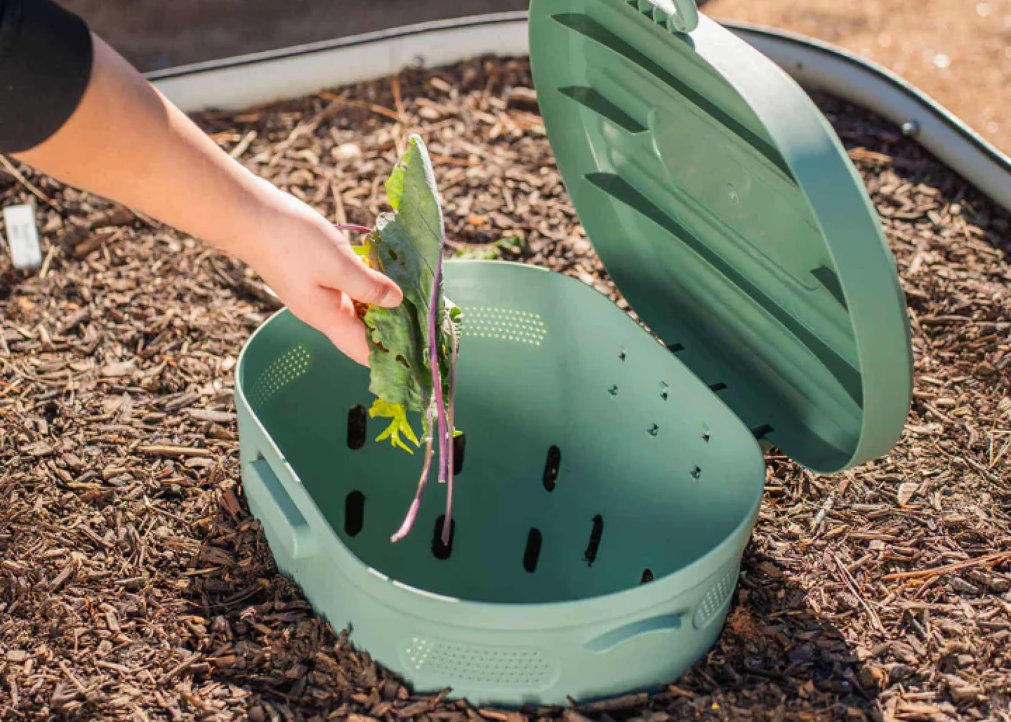 In-Ground Worm Composter