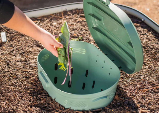 In-Ground Worm Composter