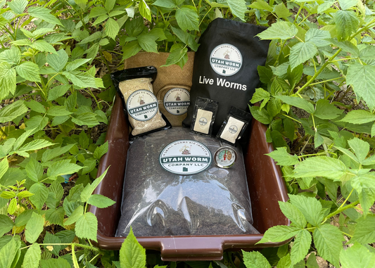 Worm Composting Bin